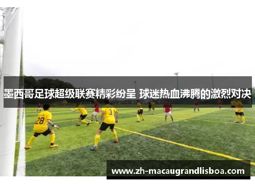 墨西哥足球超级联赛精彩纷呈 球迷热血沸腾的激烈对决