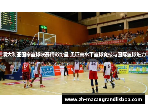 澳大利亚国家篮球联赛精彩纷呈 见证高水平篮球竞技与国际篮球魅力 澳大利亚国家篮球联赛精彩纷呈 见证高水平篮球竞技与国际篮球魅力