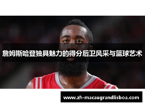 詹姆斯哈登独具魅力的得分后卫风采与篮球艺术